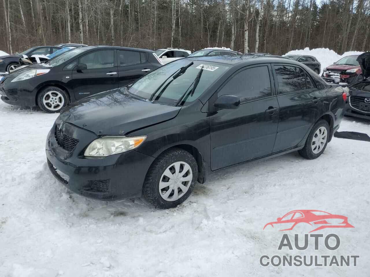 TOYOTA COROLLA 2010 - 2T1BU4EE1AC424447