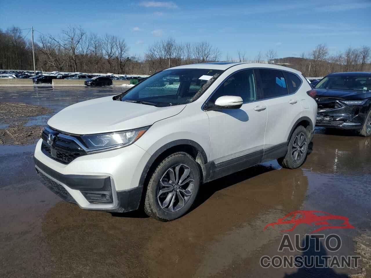 HONDA CRV 2022 - 2HKRW2H80NH629781