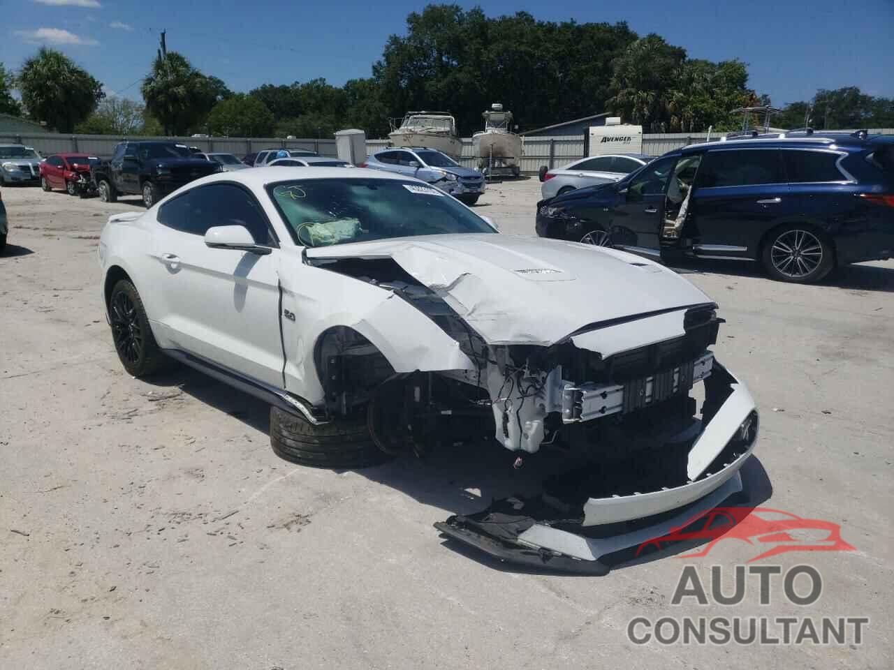 FORD MUSTANG 2019 - 1FA6P8CF2K5151664