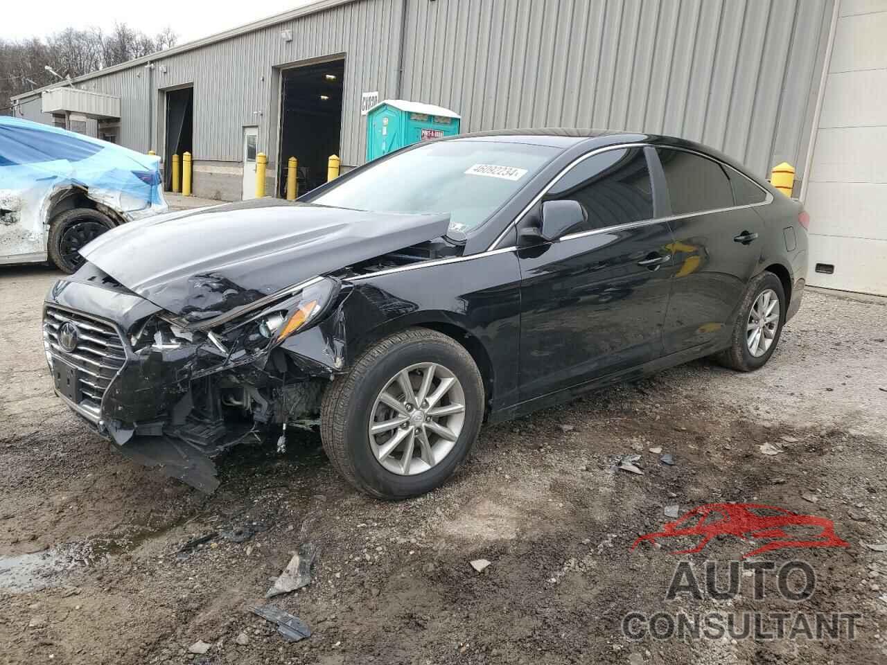HYUNDAI SONATA 2019 - 5NPE24AF7KH773998