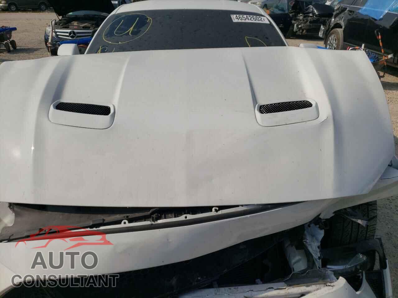 FORD MUSTANG 2019 - 1FA6P8CF1K5202071