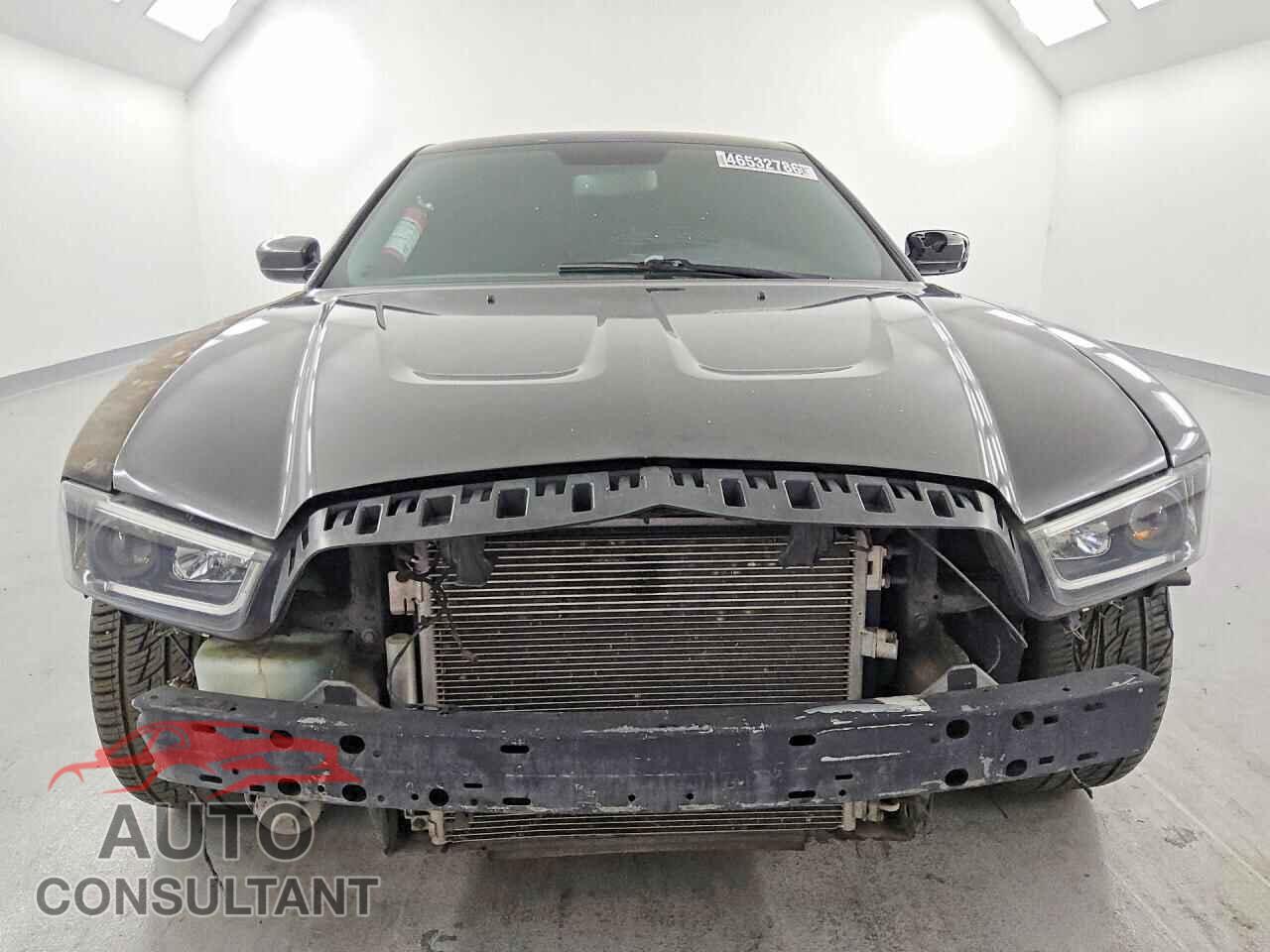 DODGE CHARGER 2014 - 2C3CDXCTXEH146929