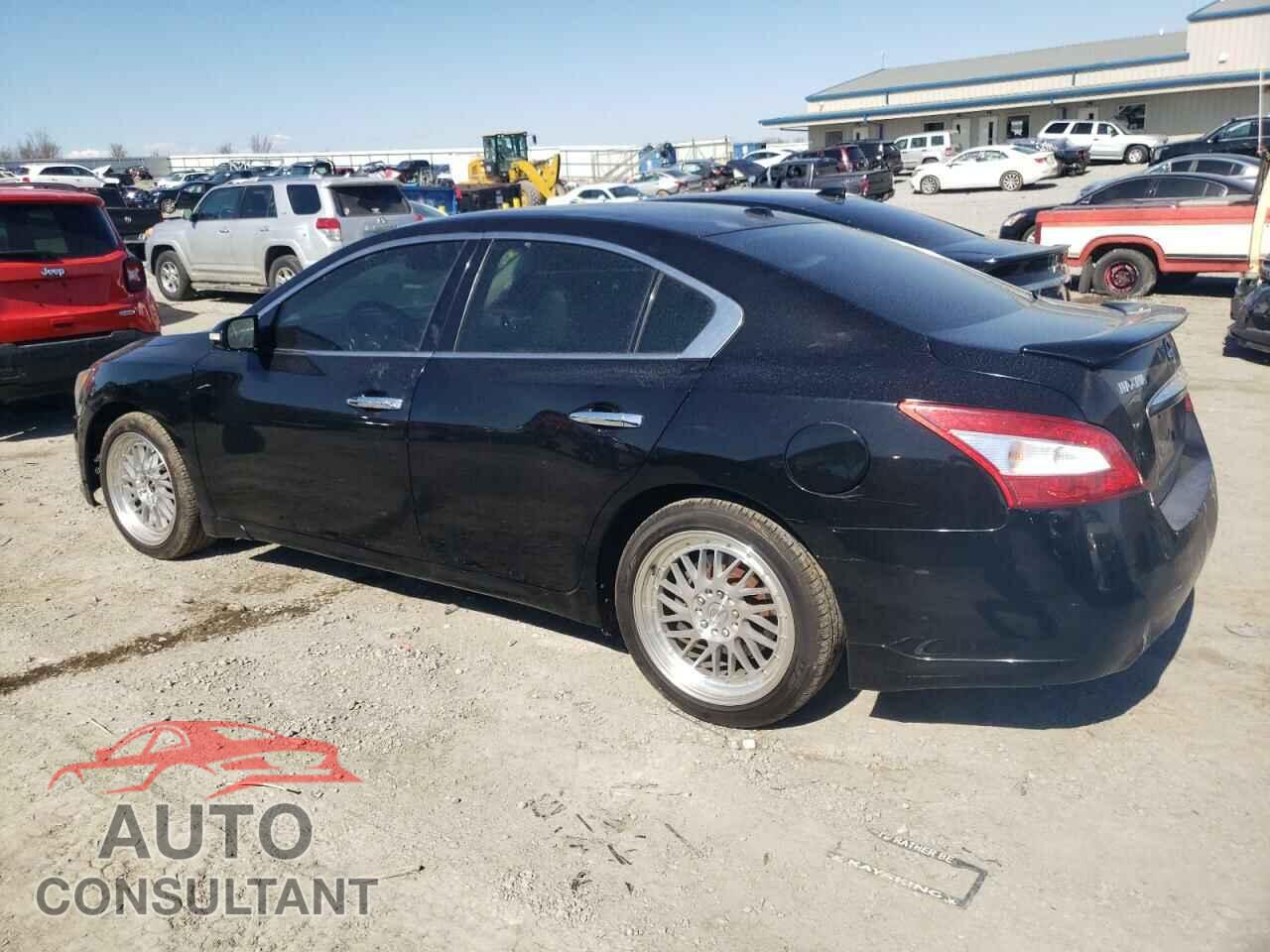 NISSAN MAXIMA 2011 - 1N4AA5AP9BC843437