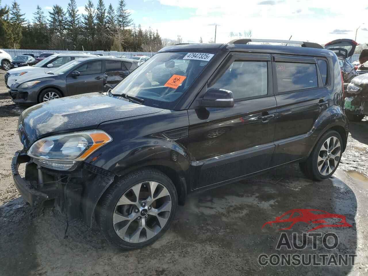 KIA SOUL 2013 - KNDJT2A61D7594556