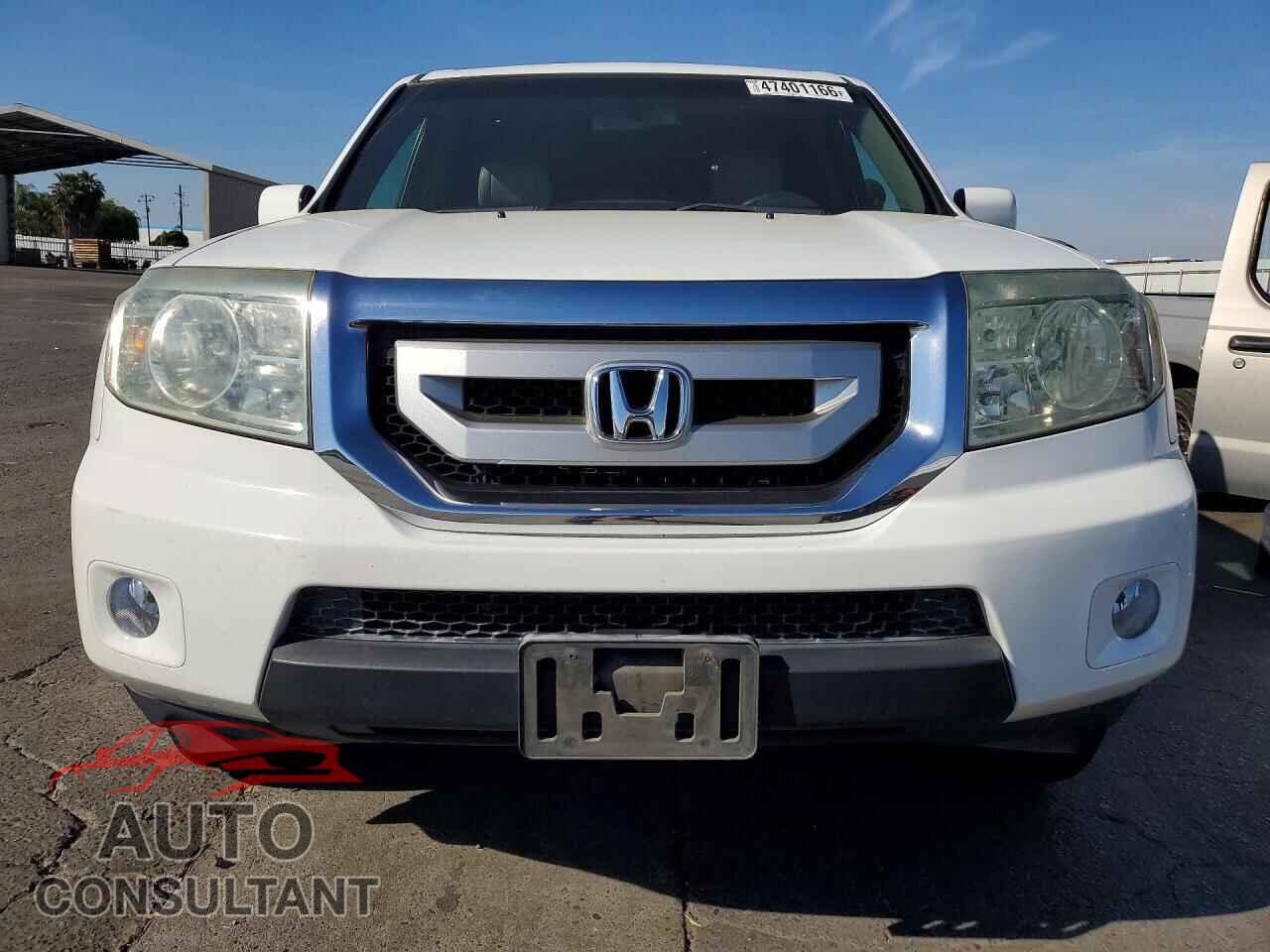 HONDA PILOT 2011 - 5FNYF3H52BB016546