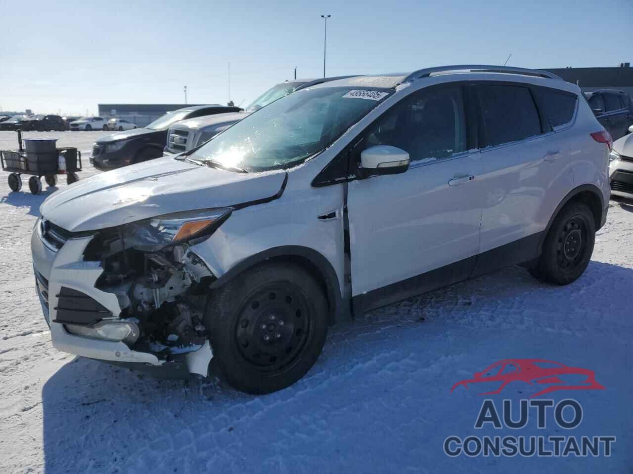 FORD ESCAPE 2014 - 1FMCU9J96EUB88280