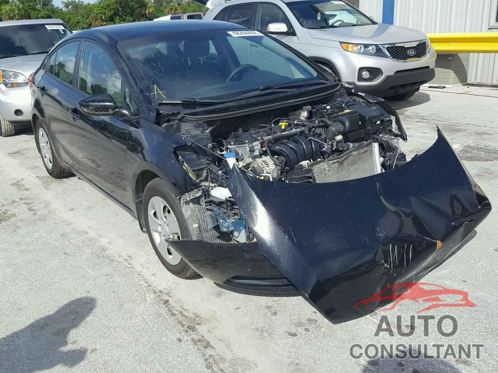 KIA FORTE 2015 - KNAFK4A64F5383044