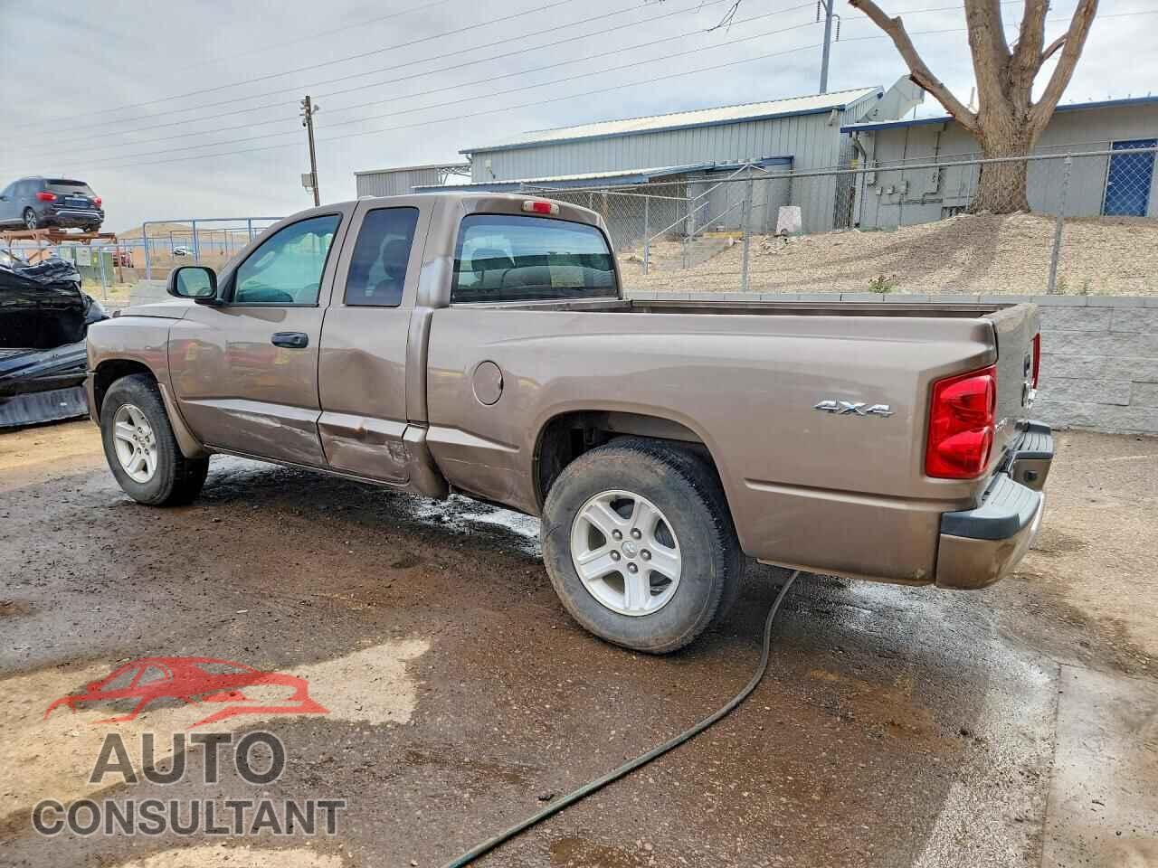 DODGE All Models 2010 - 1D7RW3BK3AS264217