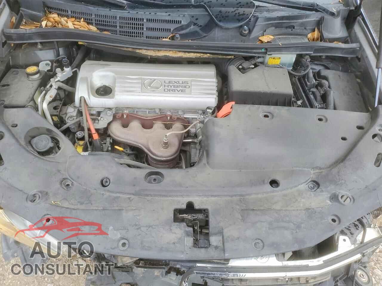 LEXUS HS 2010 - JTHBB1BA3A2014655