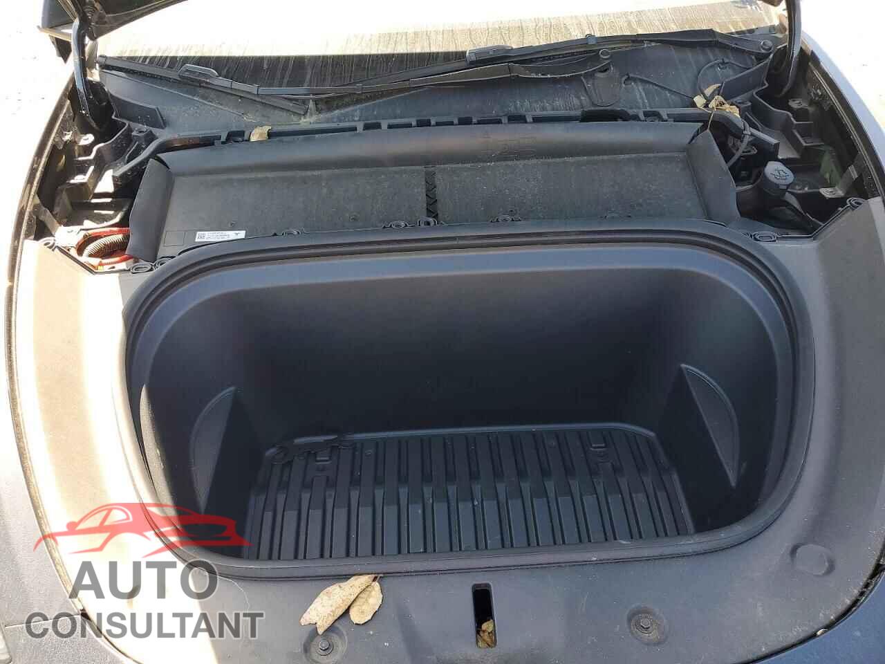 TESLA MODEL Y 2024 - 7SAYGAEE3RF081795
