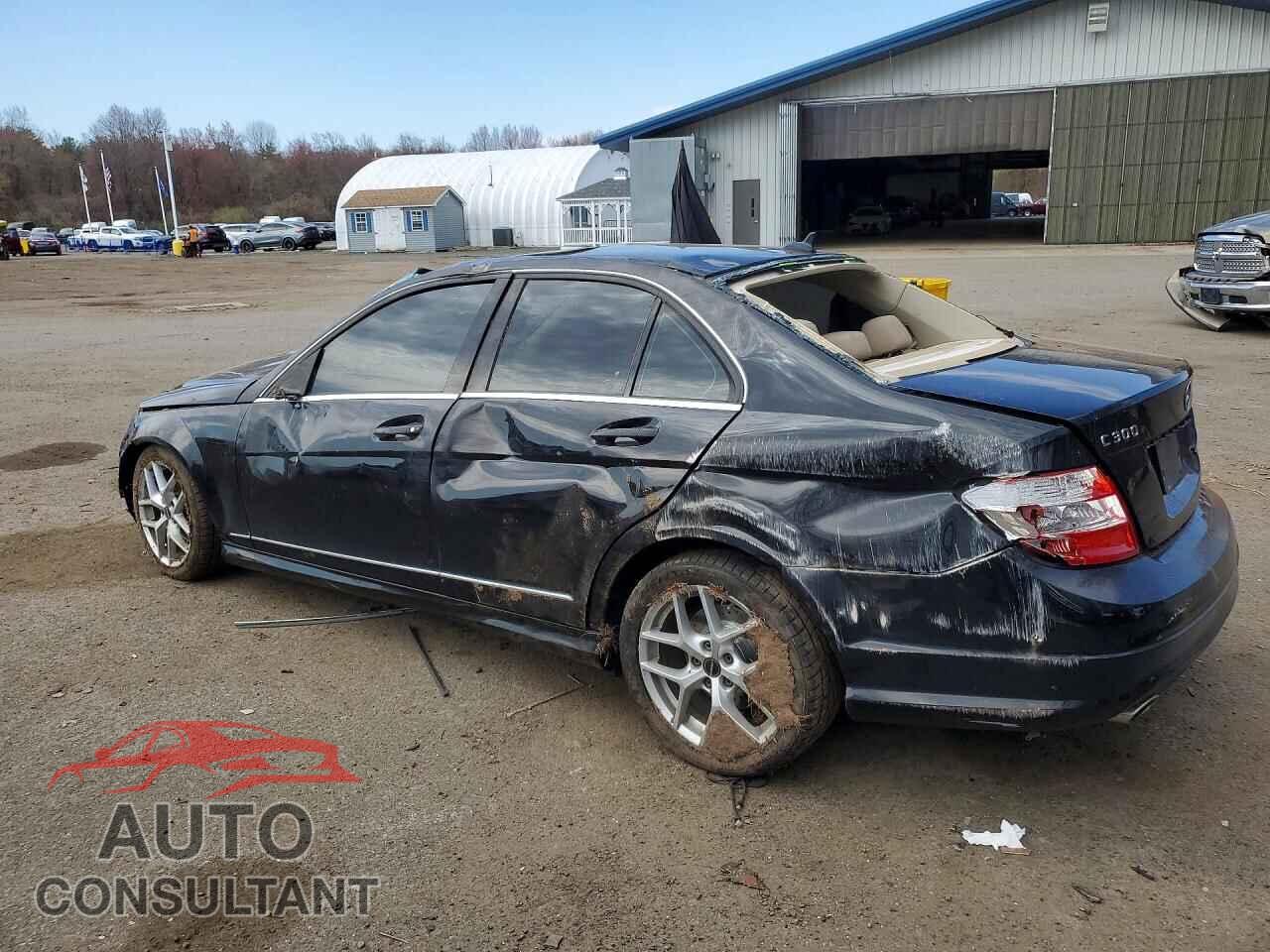 MERCEDES-BENZ C-CLASS 2010 - WDDGF8BB0AR124833