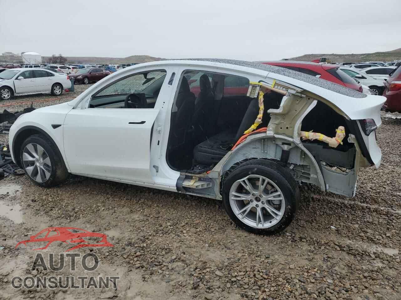 TESLA MODEL Y 2023 - 7SAYGAEE3PF609249