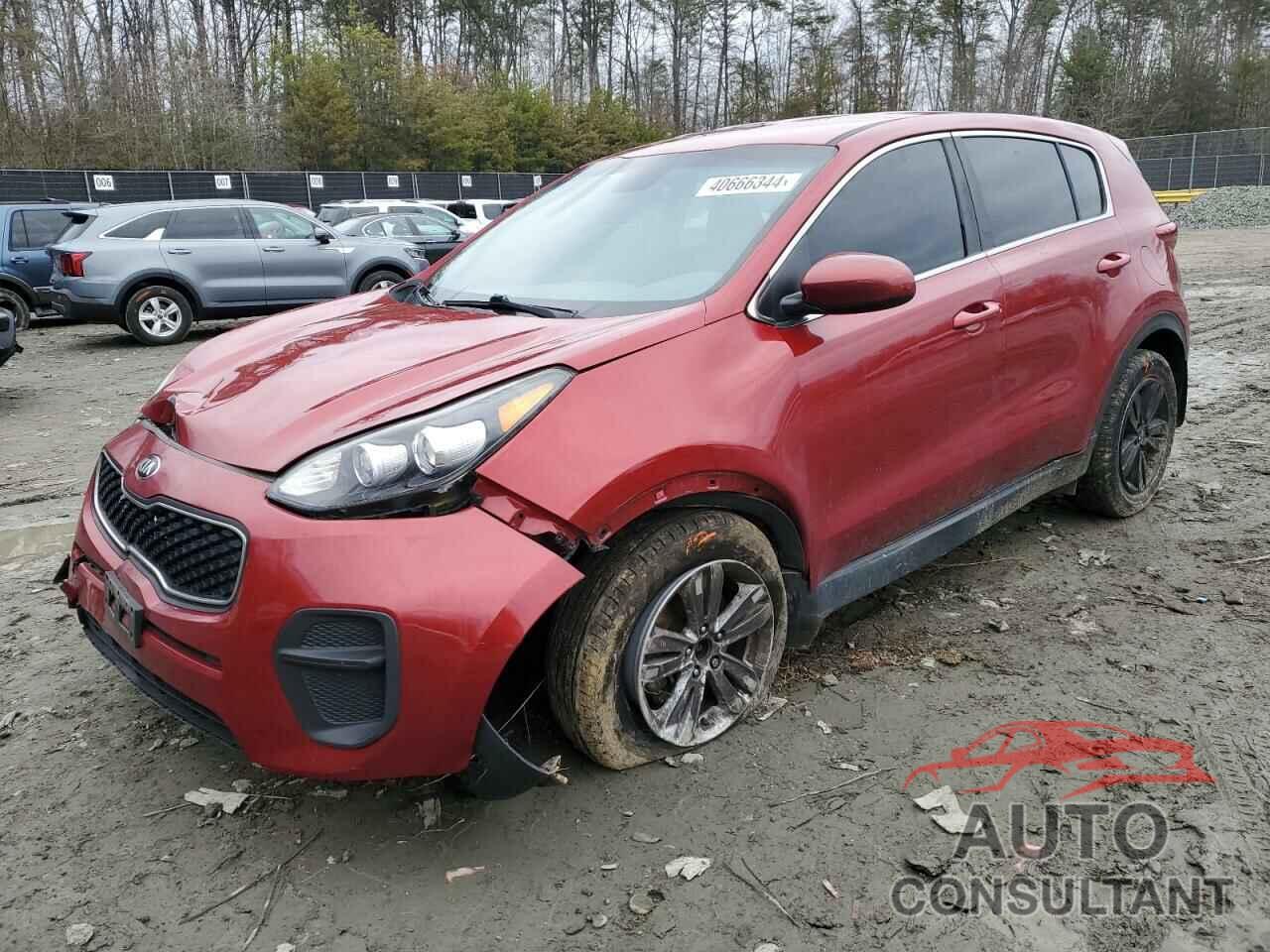 KIA SPORTAGE 2019 - KNDPM3AC2K7542448