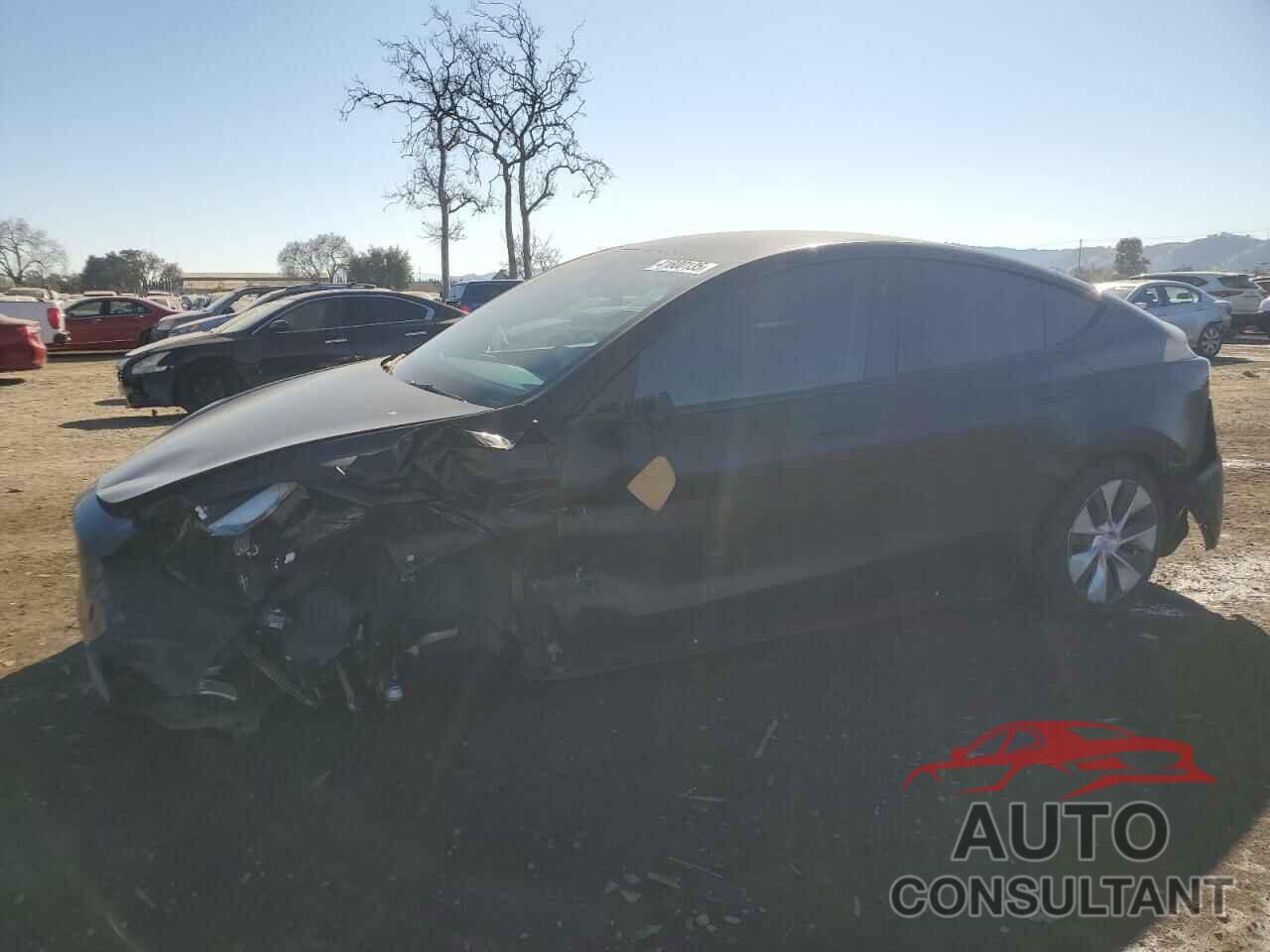 TESLA MODEL Y 2023 - 7SAYGAEE3PF833458