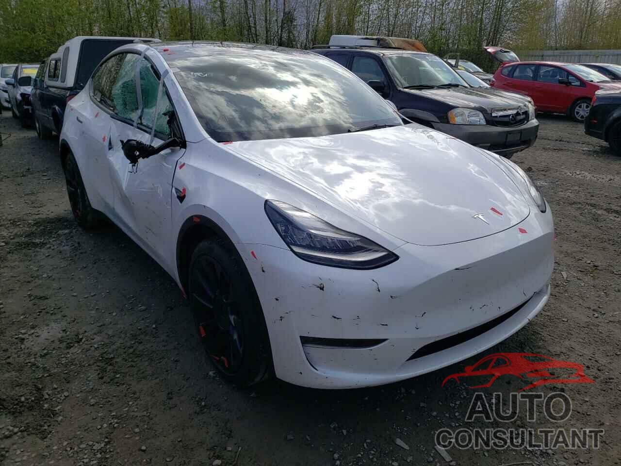 TESLA MODEL Y 2021 - 5YJYGDEEXMF095572