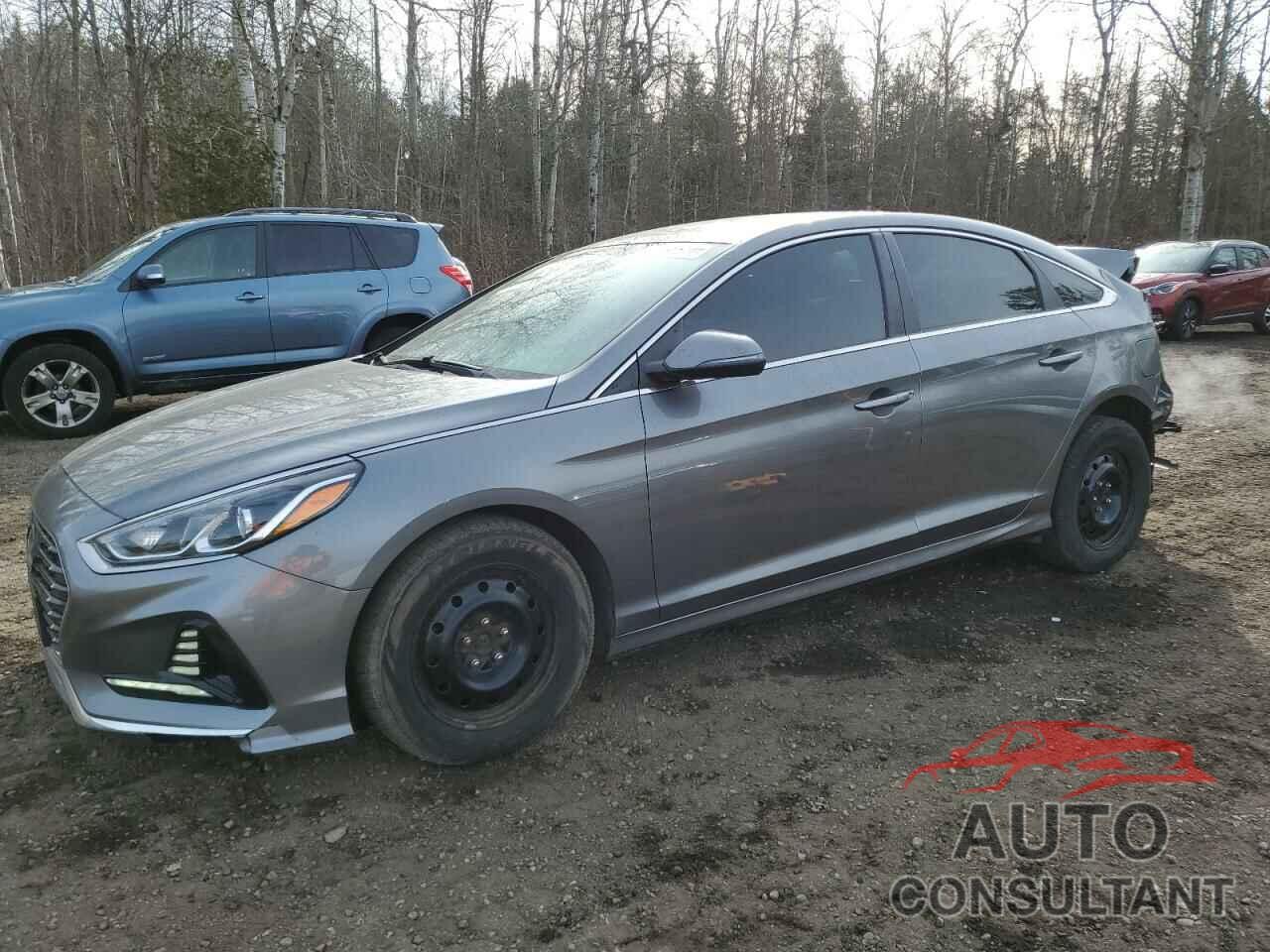 HYUNDAI SONATA 2019 - 5NPE24AF5KH755838