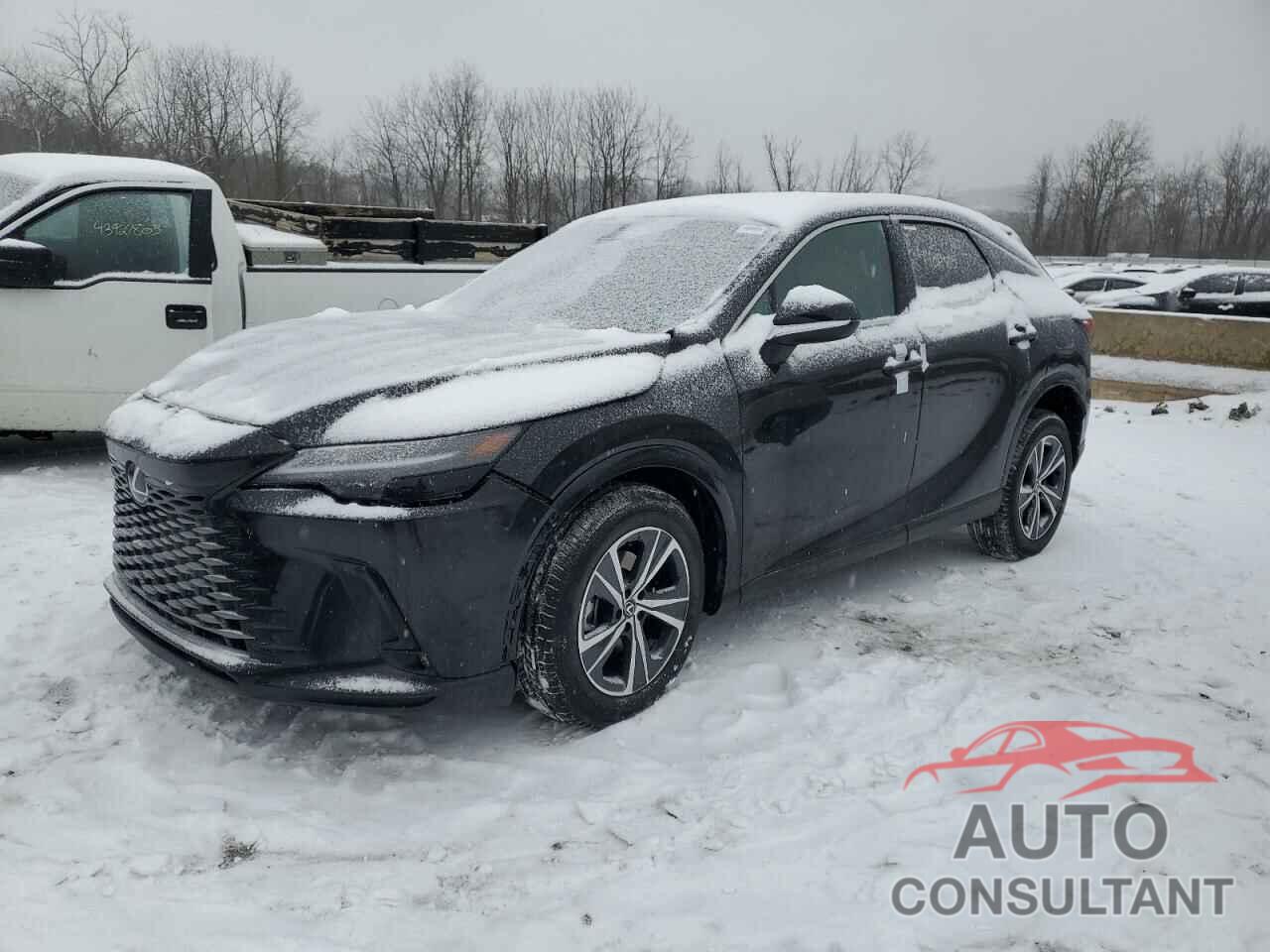 LEXUS RX350 2025 - 2T2BAMCA5SC094351
