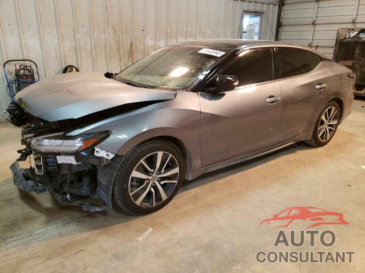 NISSAN MAXIMA 2019 - 1N4AA6AV1KC362313