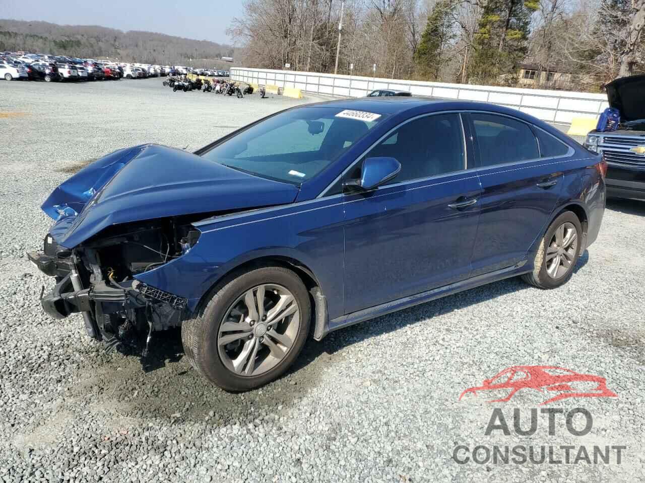HYUNDAI SONATA 2019 - 5NPE34AF1KH797906