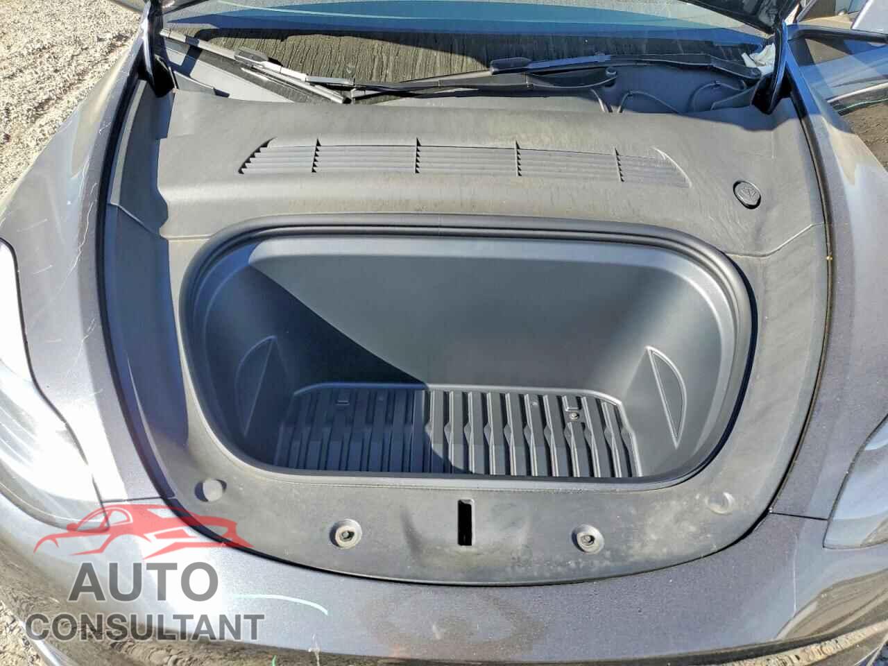 TESLA MODEL Y 2024 - 7SAYGDEDXRF166321