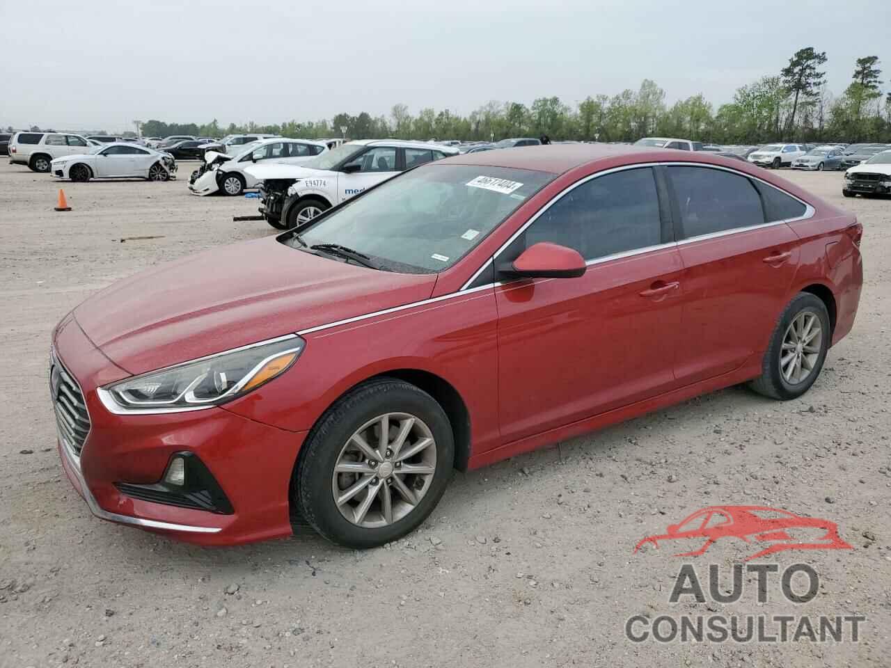HYUNDAI SONATA 2019 - 5NPE24AF8KH752187
