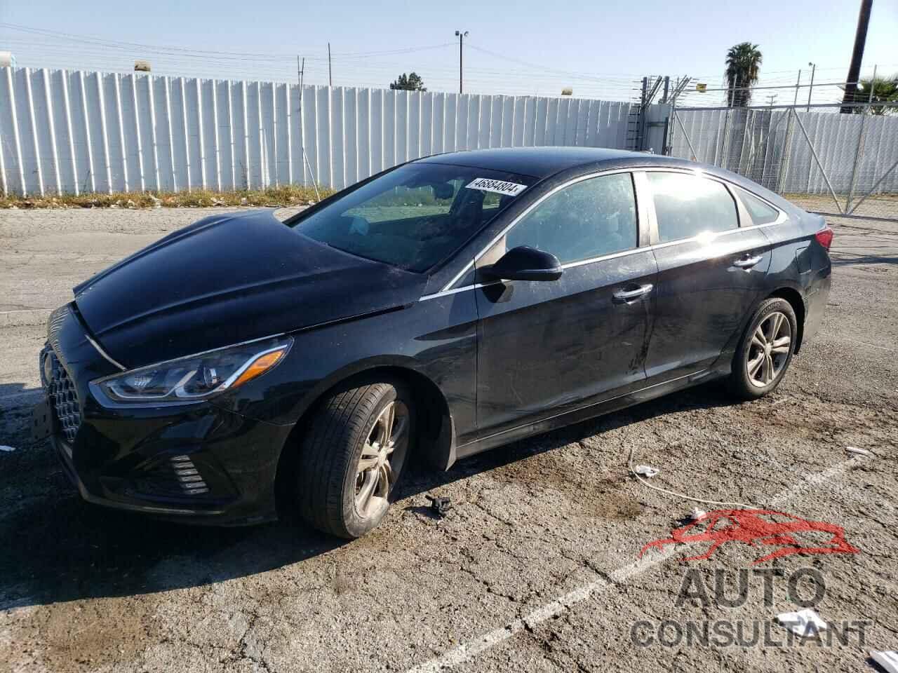 HYUNDAI SONATA 2019 - 5NPE34AFXKH797516