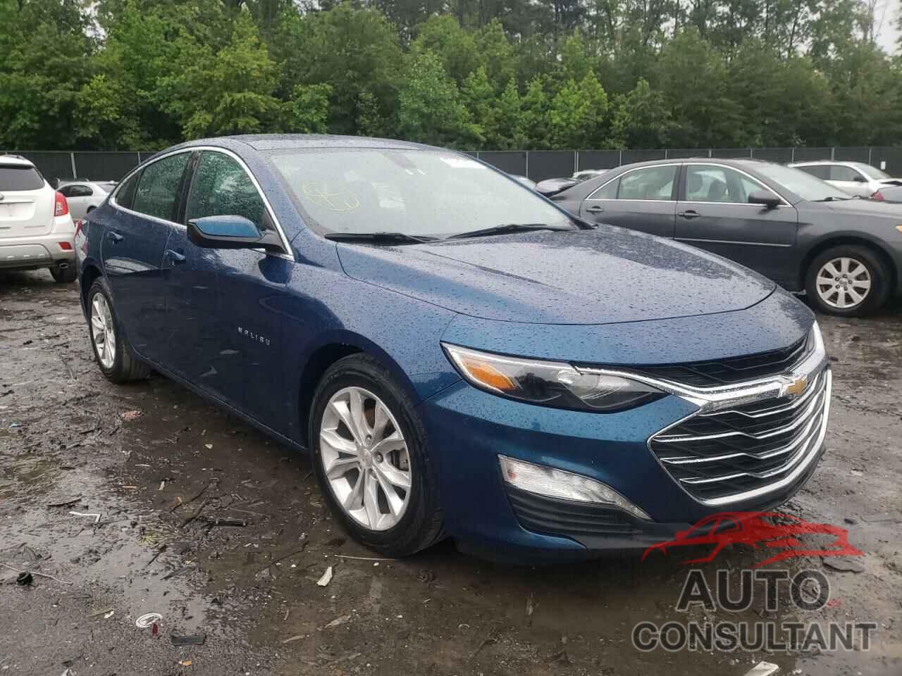 CHEVROLET MALIBU 2019 - 1G1ZD5ST0KF138095