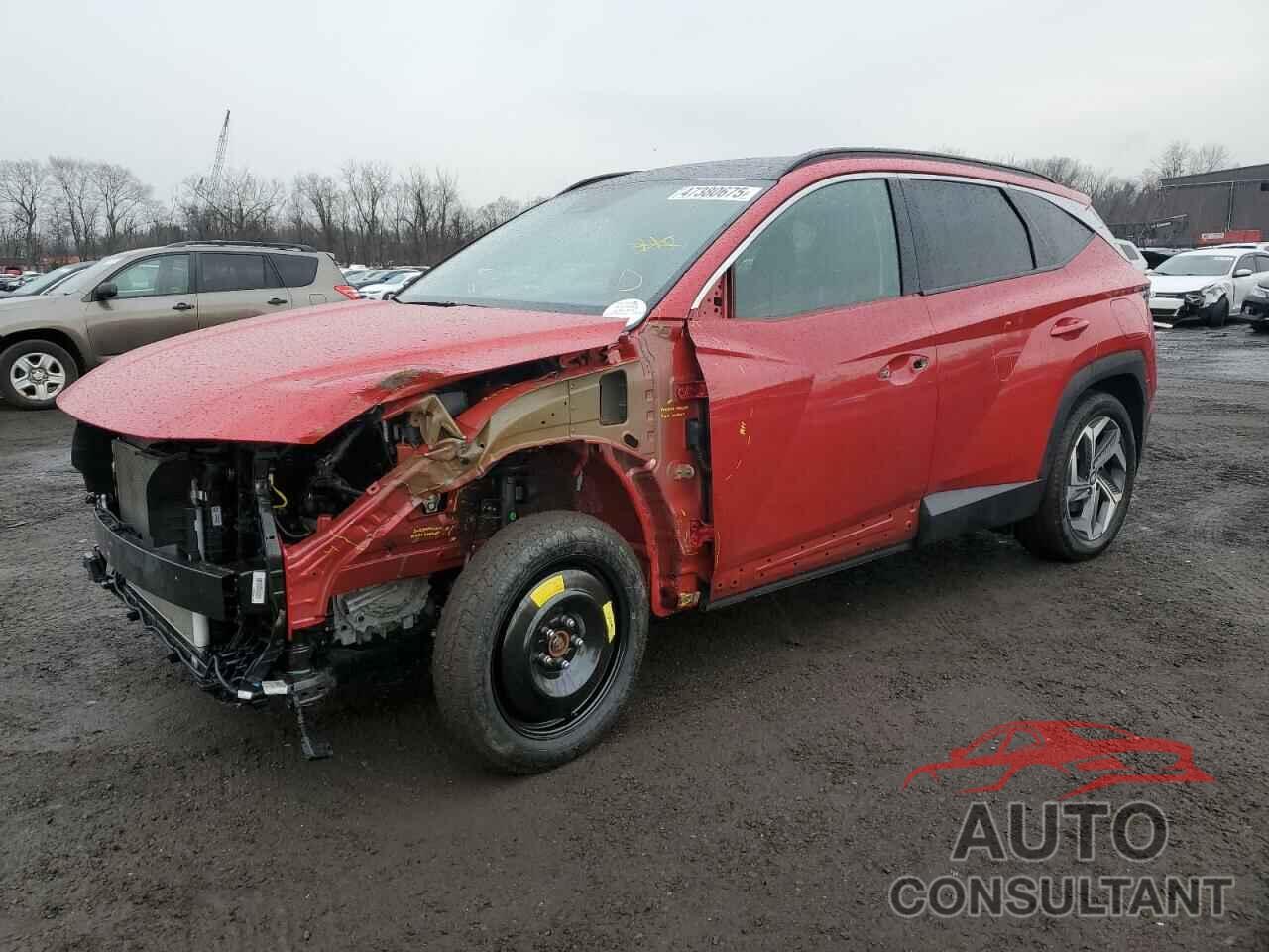 HYUNDAI TUCSON 2023 - 5NMJECAE5PH200948