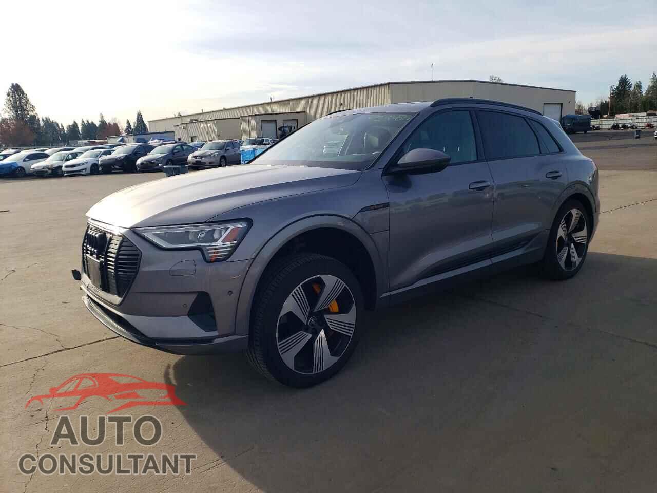 AUDI E-TRON 2022 - WA1LAAGE2NB014103
