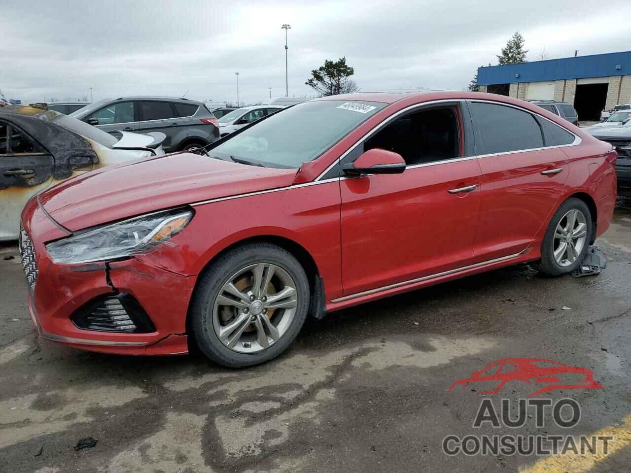 HYUNDAI SONATA 2019 - 5NPE34AF2KH768334