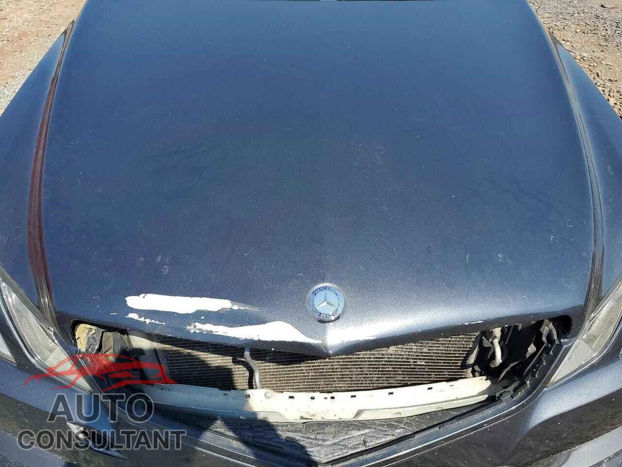 MERCEDES-BENZ E-CLASS 2012 - WDDKJ7DB1CF159398