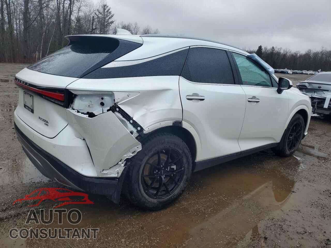 LEXUS UNKNOWN 2025 - 2T2BBMCA1SC084591