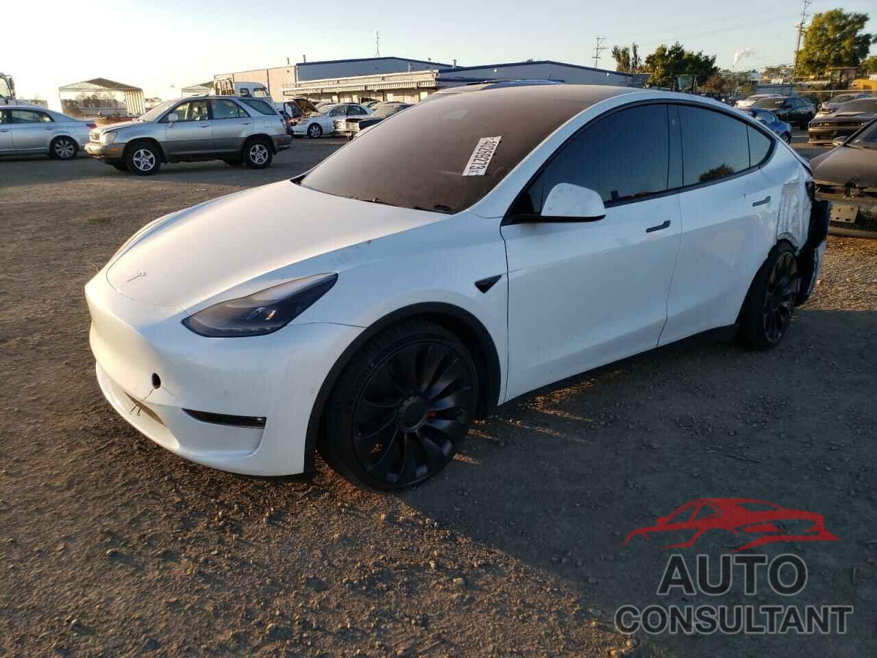 TESLA MODEL Y 2022 - 7SAYGDEF2NF327367