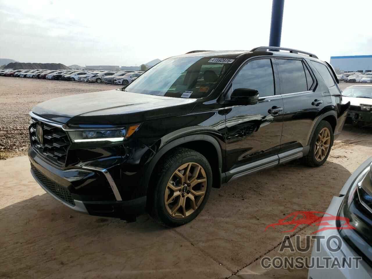 HONDA PILOT 2024 - 5FNYG1H83RB031014