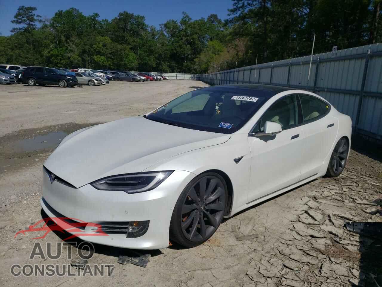 TESLA MODEL S 2019 - 5YJSA1E24KF300733