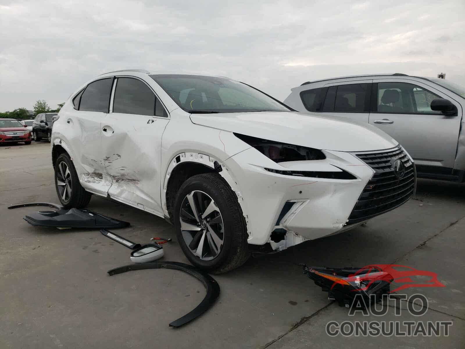 LEXUS NX 2019 - JTJYARBZ6K2157522