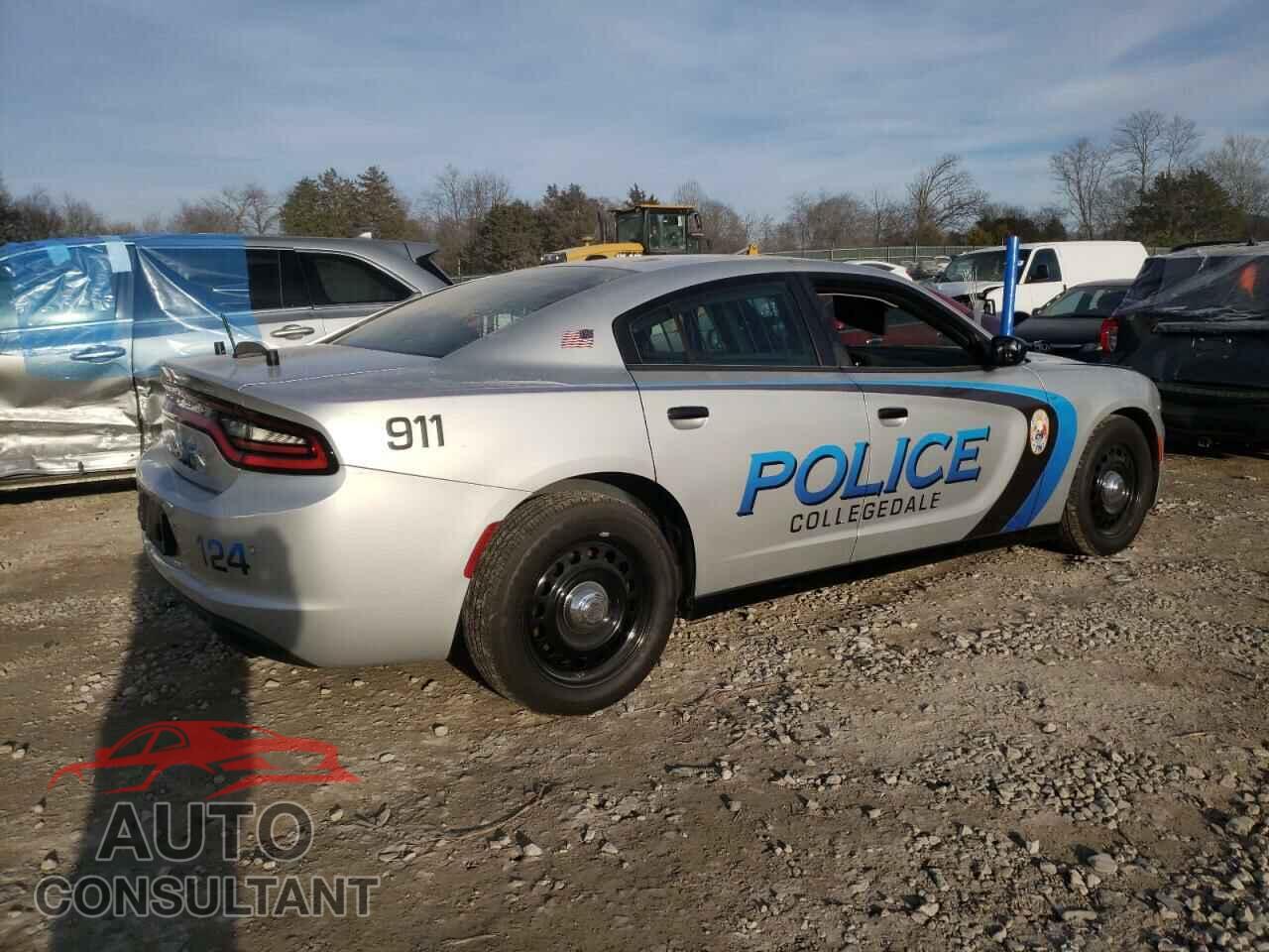 DODGE CHARGER 2019 - 2C3CDXKTXKH734990
