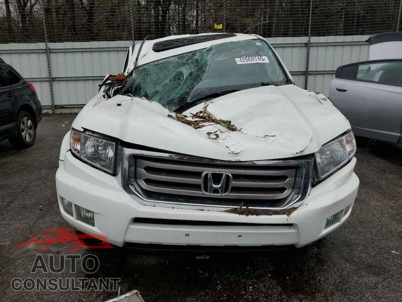 HONDA RIDGELINE 2013 - 5FPYK1F55DB006445