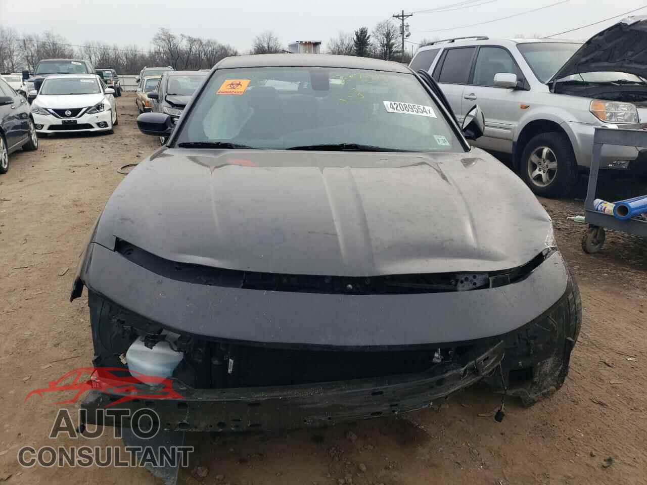DODGE CHARGER 2019 - 2C3CDXJGXKH667103