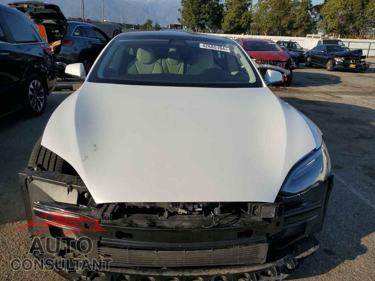 TESLA MODEL S 2017 - 5YJSA1E11HF219138