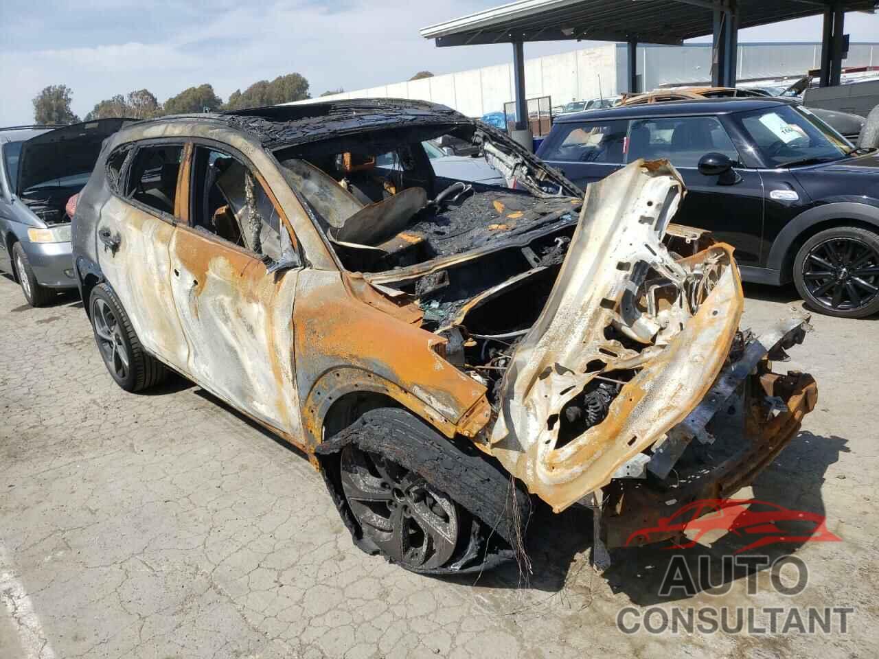 HYUNDAI TUCSON 2016 - KM8J33A28GU160574