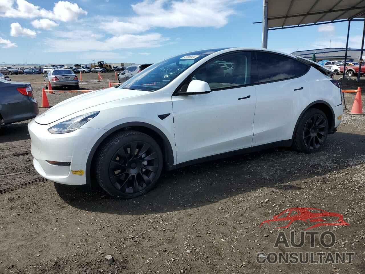 TESLA MODEL Y 2021 - 5YJYGDEE0MF080661