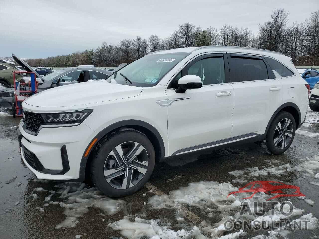 KIA SORENTO 2024 - KNDRHDLG5R5248650