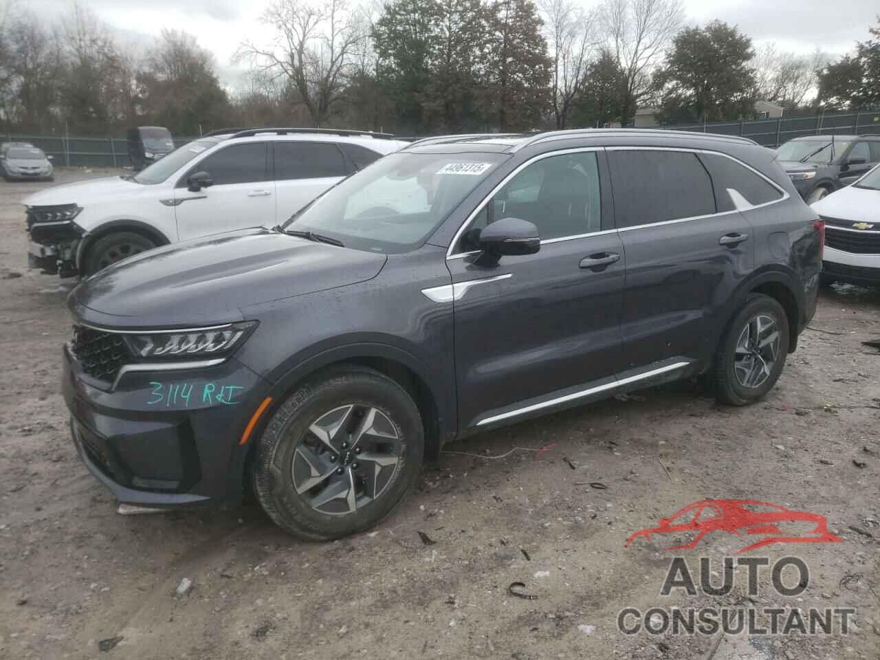 KIA SORENTO 2022 - KNDRH4LG8N5091920