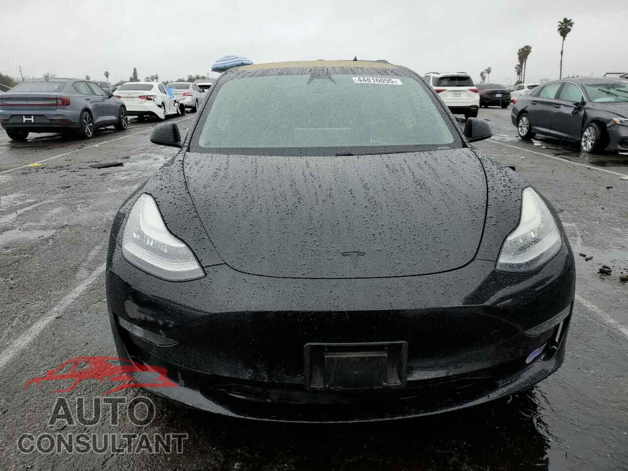 TESLA MODEL 3 2019 - 5YJ3E1EAXKF324079