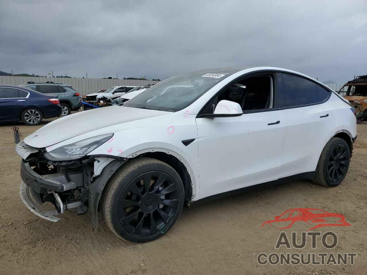 TESLA MODEL Y 2021 - 5YJYGDEE0MF162101