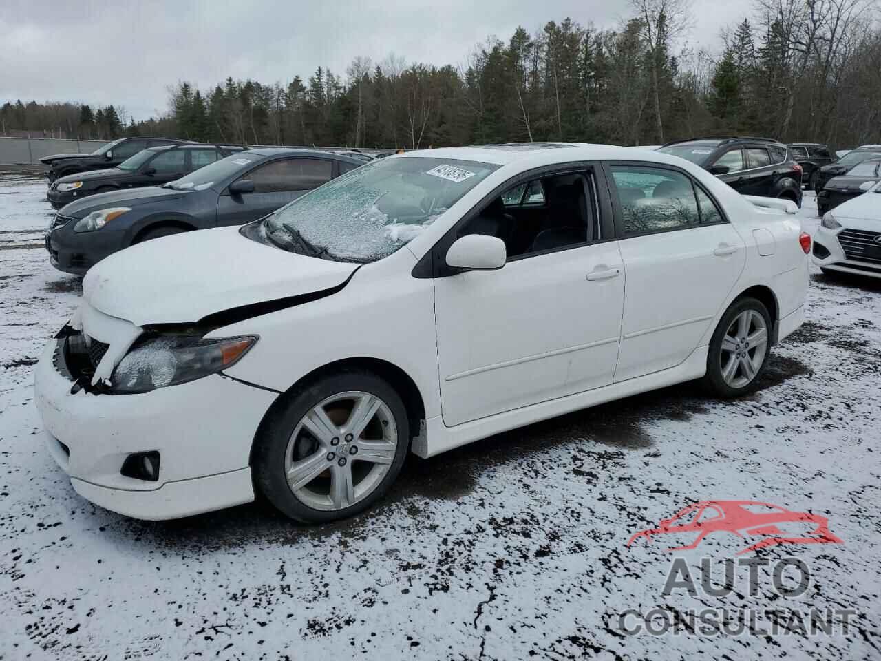 TOYOTA COROLLA 2010 - 2T1BE4EE2AC045616