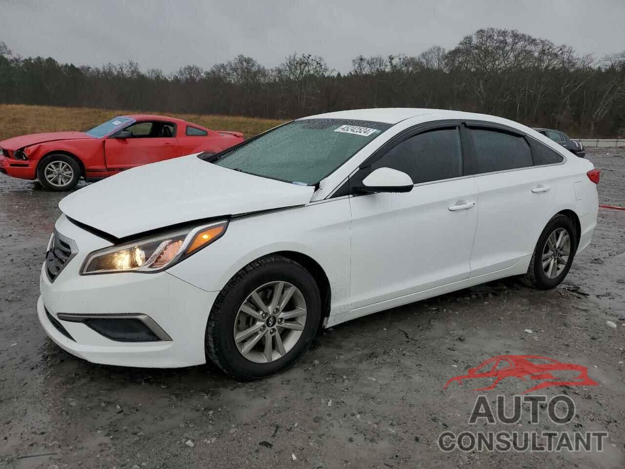 HYUNDAI SONATA 2016 - 5NPE24AF3GH363495