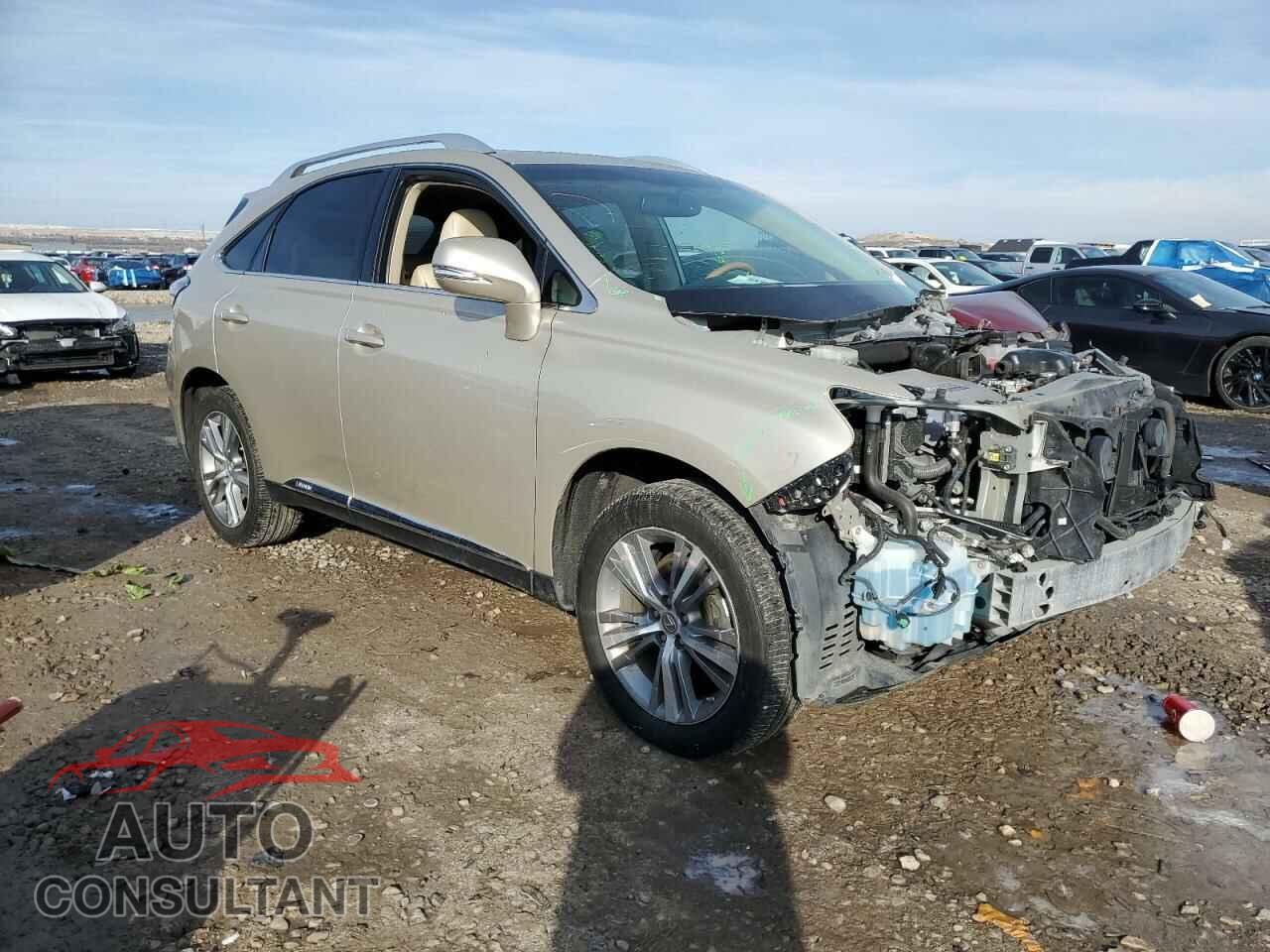 LEXUS RX450 2015 - 2T2BC1BA9FC010080