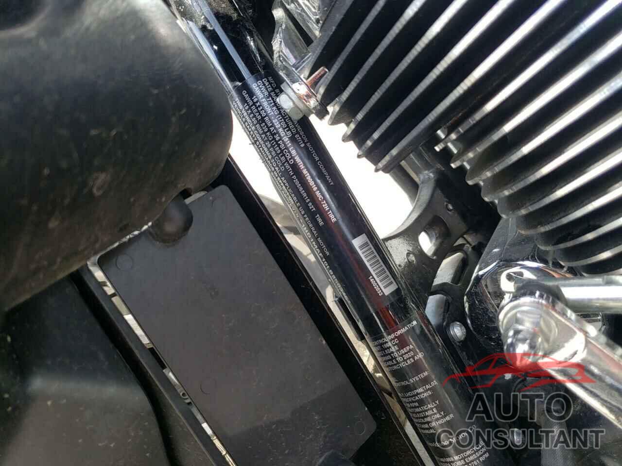 HARLEY-DAVIDSON FL 2020 - 1HD1MAF10LB850345